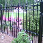 Decorative Iron Fence.