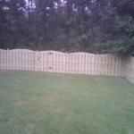 Straigt Run of 6' Tall Arched Shadow Box Fence With Gate in middle.